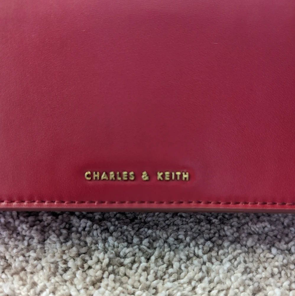 Charles & Keith Gold Buckle bag - Picture 4 of 8